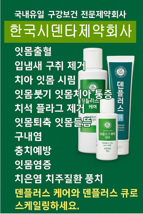 잇몸이붇고피날때